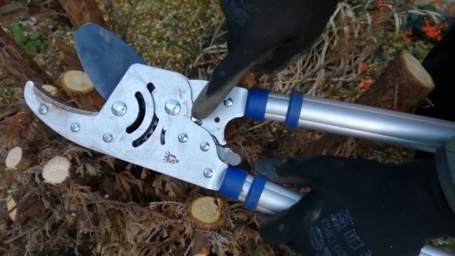 SPEAR & JACKSON, HEAVY DUTY RATCHET ANVIL LOPPERS SPEAR AND JACKSON