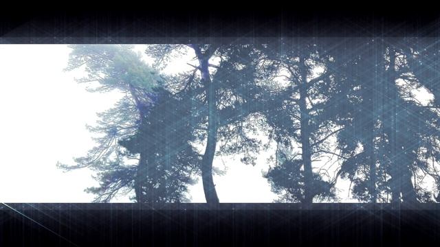 01d34c4f91e8d0137483d9c42f659026