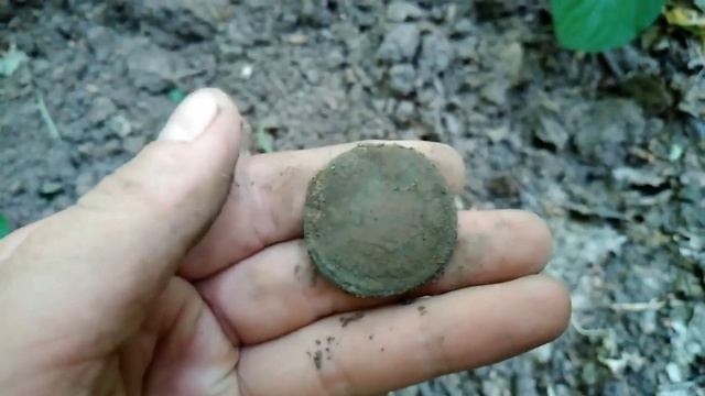 Пошук з металошукачем Квазар АРМ на Черкащині/Поиск с металлоискателем Квазар АРМ на Черкащине.