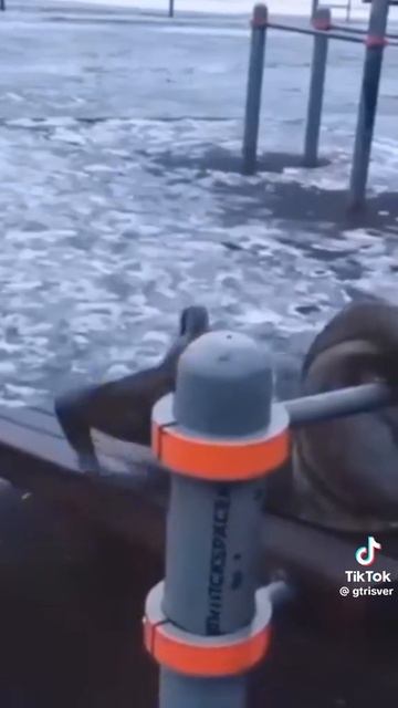 E5bc7309c060d3d66b79f1afef4539e8