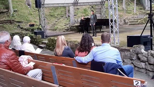 Mats Roolvink - Blick' Ich Umher