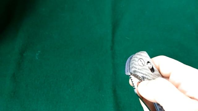 Steelclaw Аспид Silvertwill