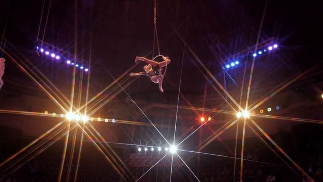 Duo Skyline Aerial Ring