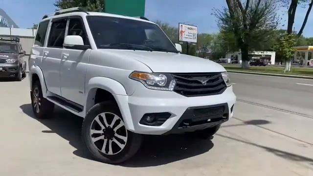 Мир животных в удивительной гармонии