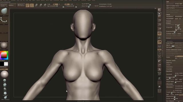 Grassetti_FemaleAnatomy_03_MaleToFemale