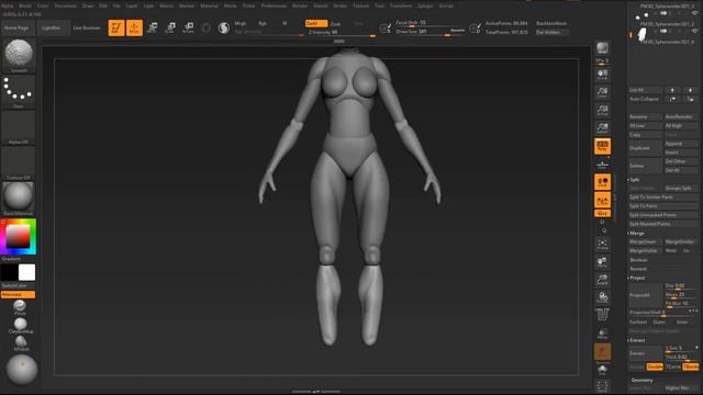 FemaleAnatomy_01_BlockingTheBody