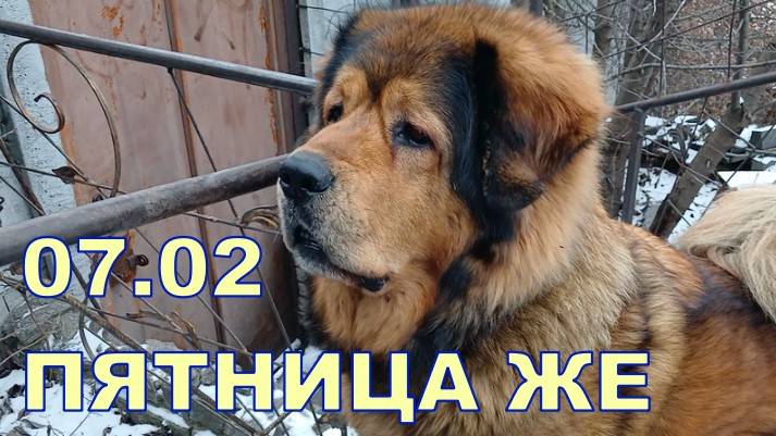 C91583c06f64e311e220262a0fae0e40