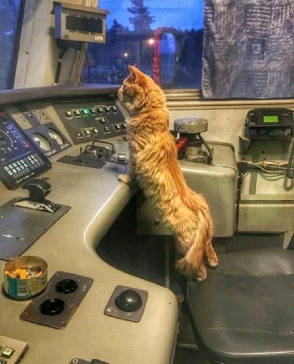 В пятницу поём? Конечно!