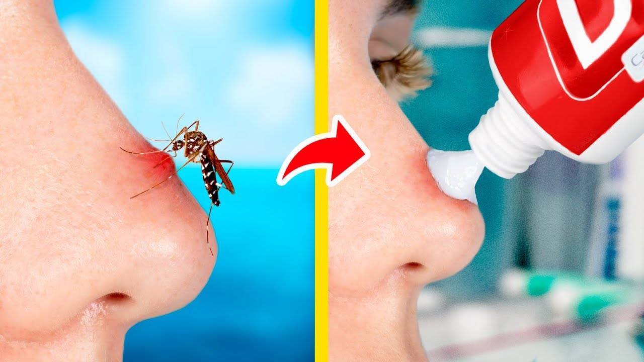 7ed1e05b404e7e08256f6c5622a3761d