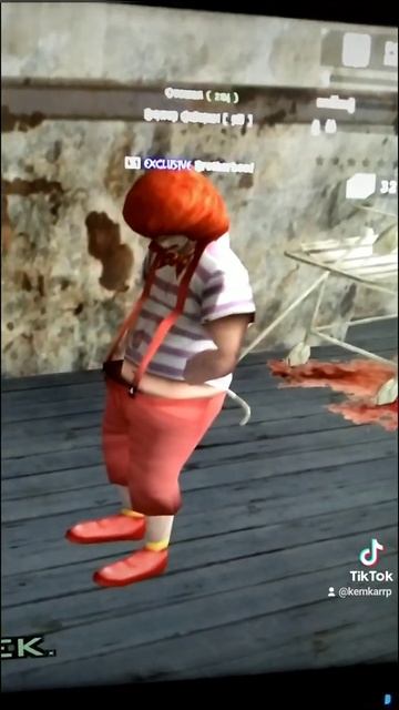 Кукурузные коты