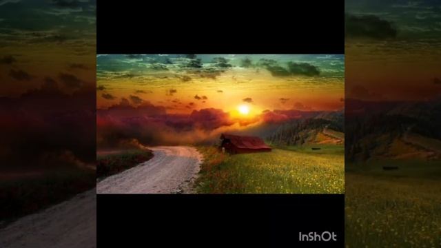 InShot_20250207_143458013.mp4