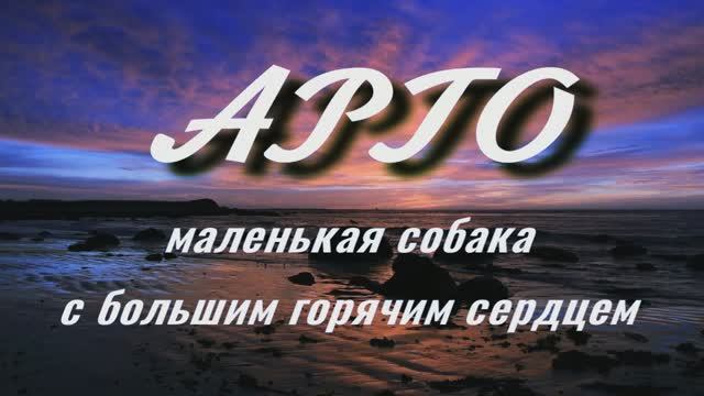 Маленькая собака с большим горячим сердцем
