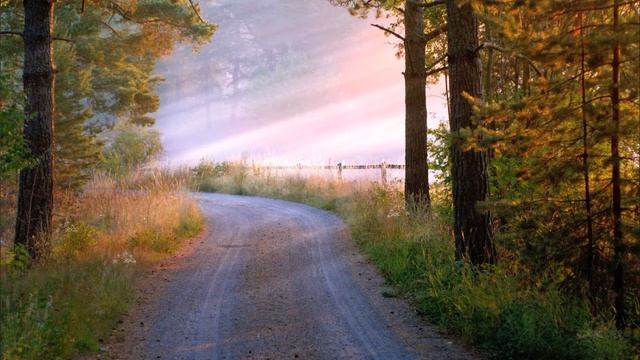 Шейх 'Абдул-Раззакь аль-Бадр. Слабость убежденности раба в Аллахе