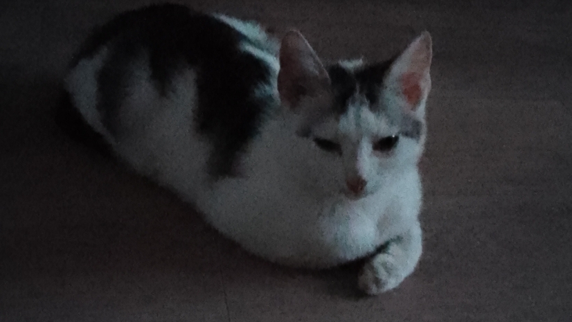 A4a7f7c3c86589a1b312fb95776e45cf