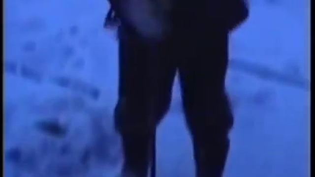 Отряд животных