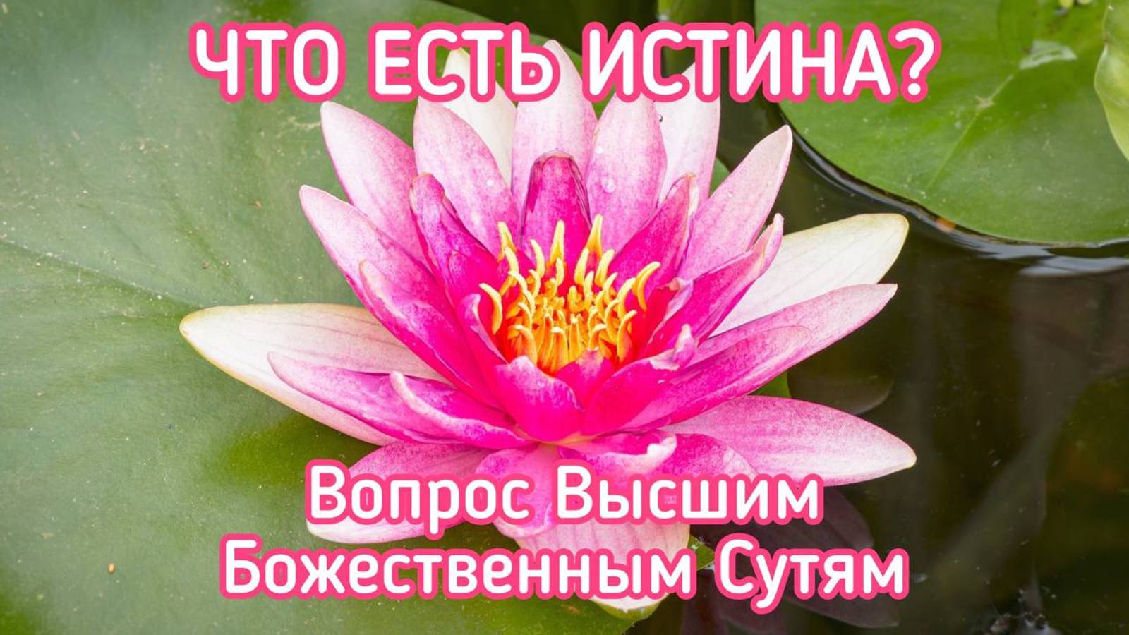 ЧТО ЕСТЬ ИСТИНА? / ВОПРОС ВЫСШИМ БОЖЕСТВЕННЫМ СУТЯМ