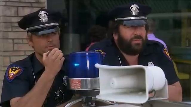 Растения разных сезонов