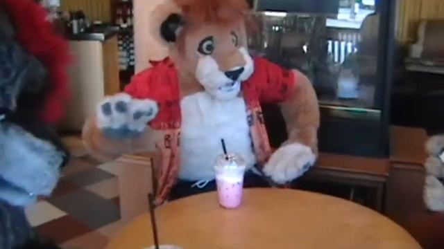 Public Fursuit Outing At The Lyons' Den Coffee Shop In Bothell - Return Visit