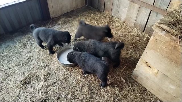 0b64f9475f490c5561cbe714bb4ef307