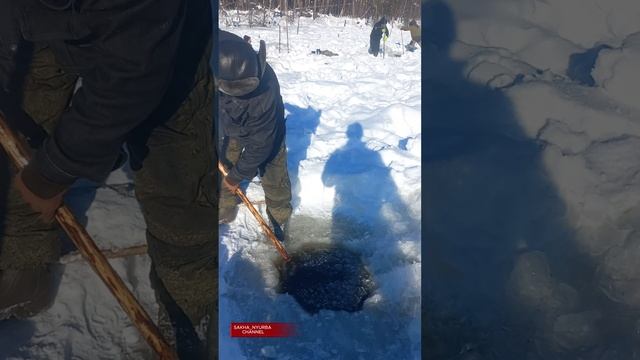 Куйуур24(Ловля рыбы саком)