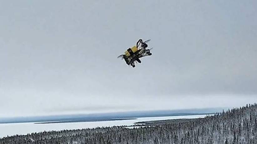 Полет малышей