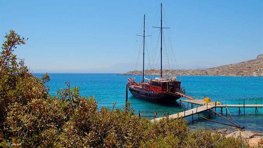 C1bb8569a7142971110713619c7eb4fa