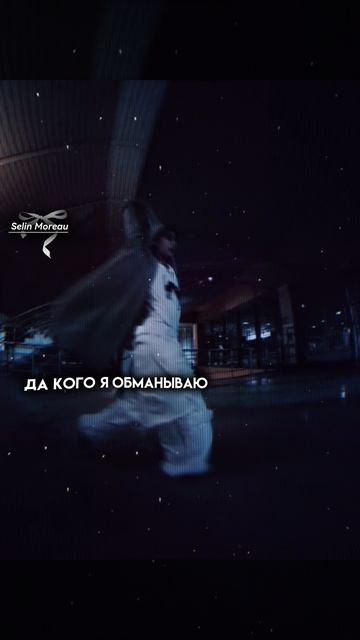 хамстер вайб