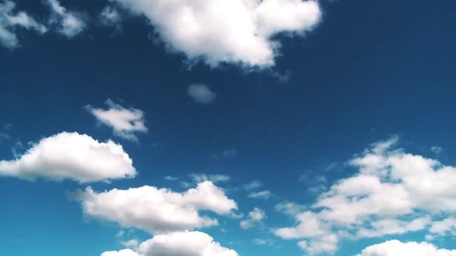 родные твои