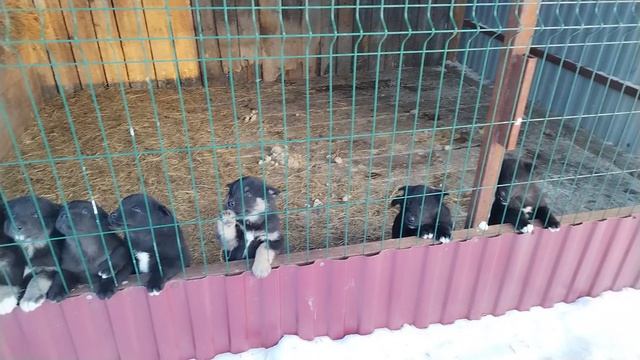 Be3b4a43638a644e6d4c81c43ec7d896