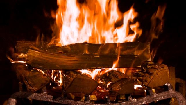 C536f415e8929cf8c8fd8c7c5c5a63f3