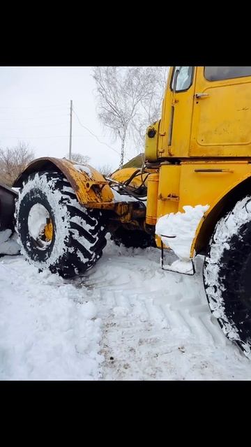 К 701 с бабочкой