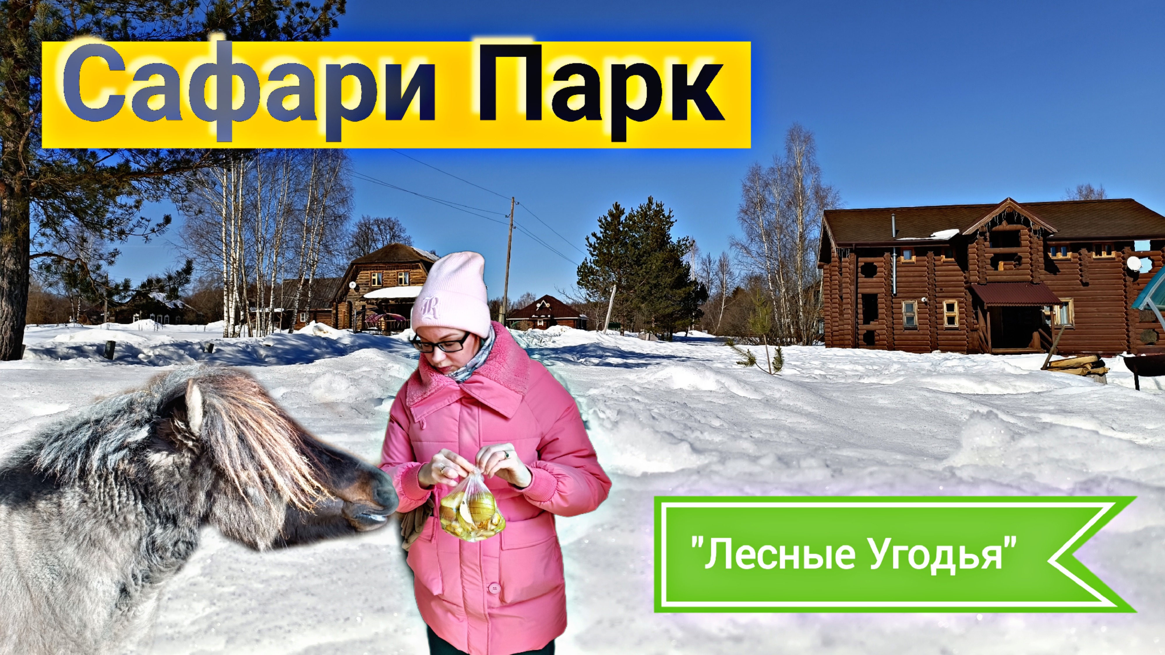 Сафари Парк 