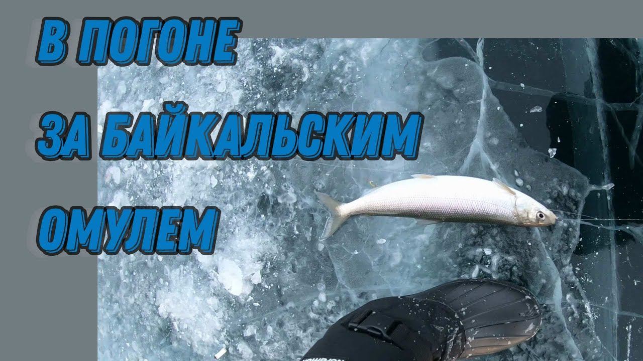Зимняя рыбалка на байкальского омуля. #Baikal #рыбалка #омуль