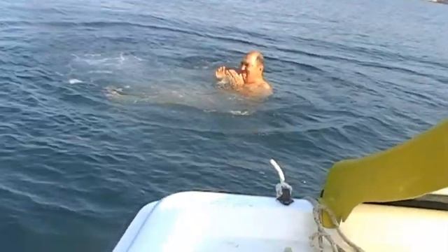 Горшочное горец