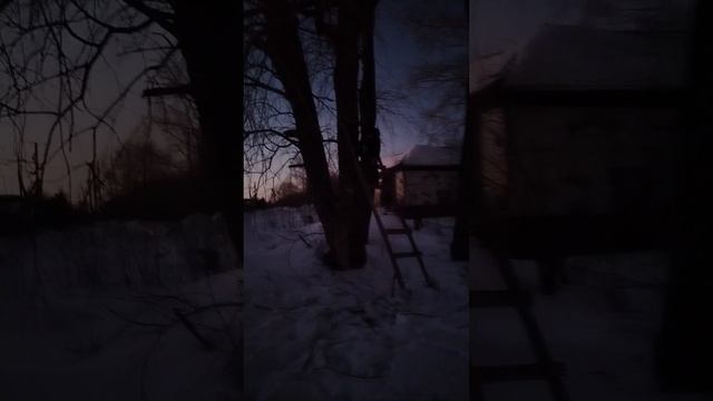 Обнавлёная тарзанка