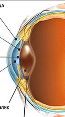 Dae5994dee9571fd0f53826978776bdb