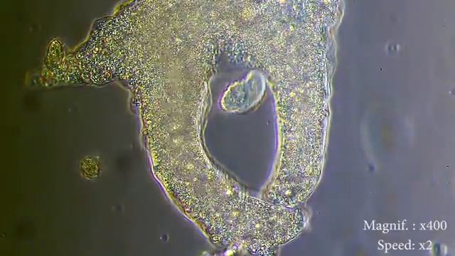 E8111699d4f2dc1f1e18f44412e3e1e3