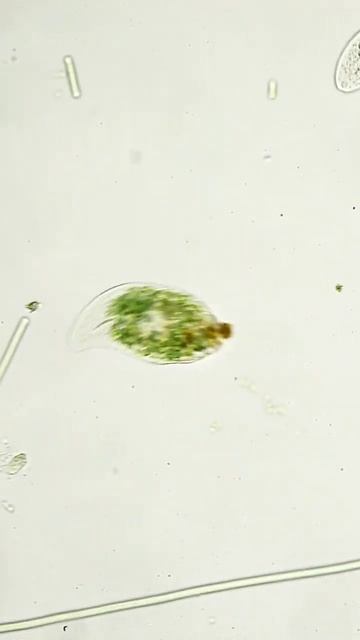 D8ac491b277746089e563c66c1a4e68b