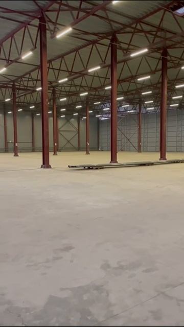 Видео WhatsApp 2023-09-07 в 16.49.18