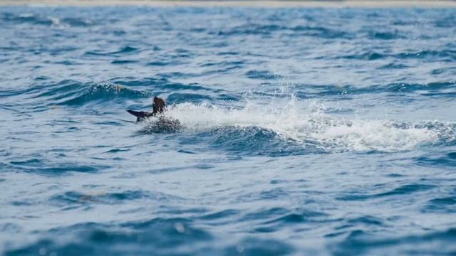 2ac406104b9846efaf1931e680c82cfa.preview