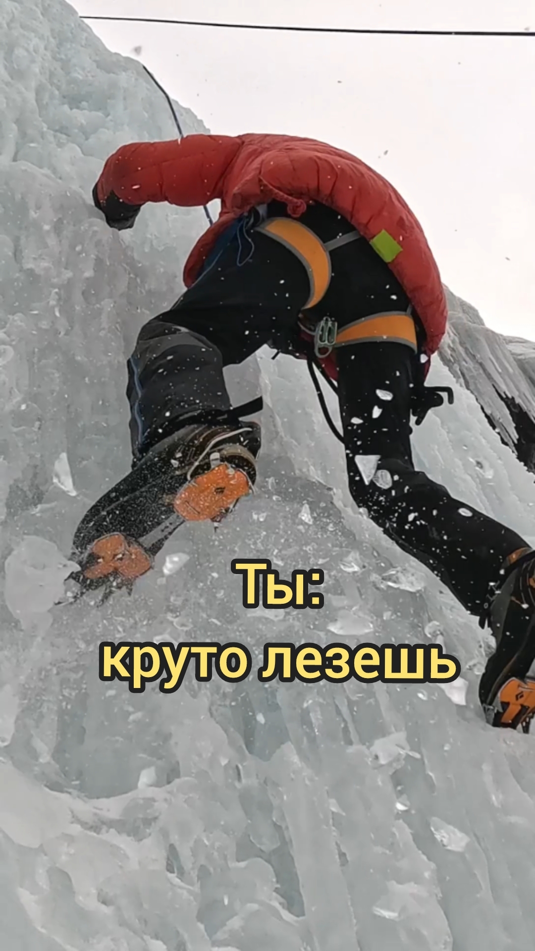 Берегите операторов! 🦭