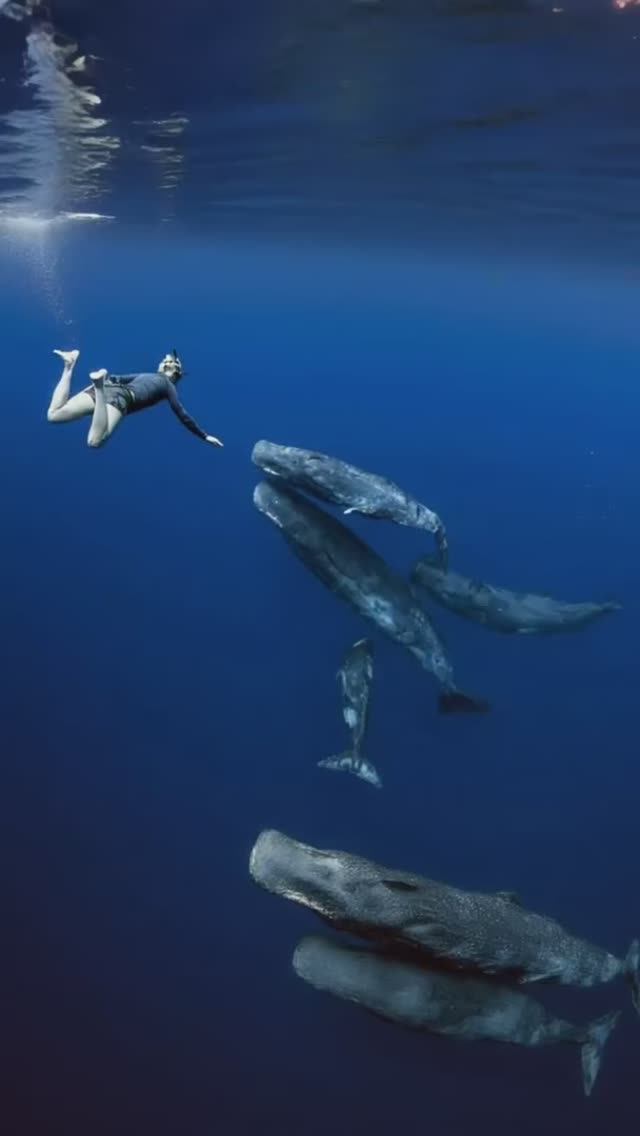 02292bfa3e8d2533dfddd2b38f82f552