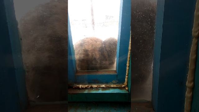 1e8bec69e3684bbfc7d0a342313d0800