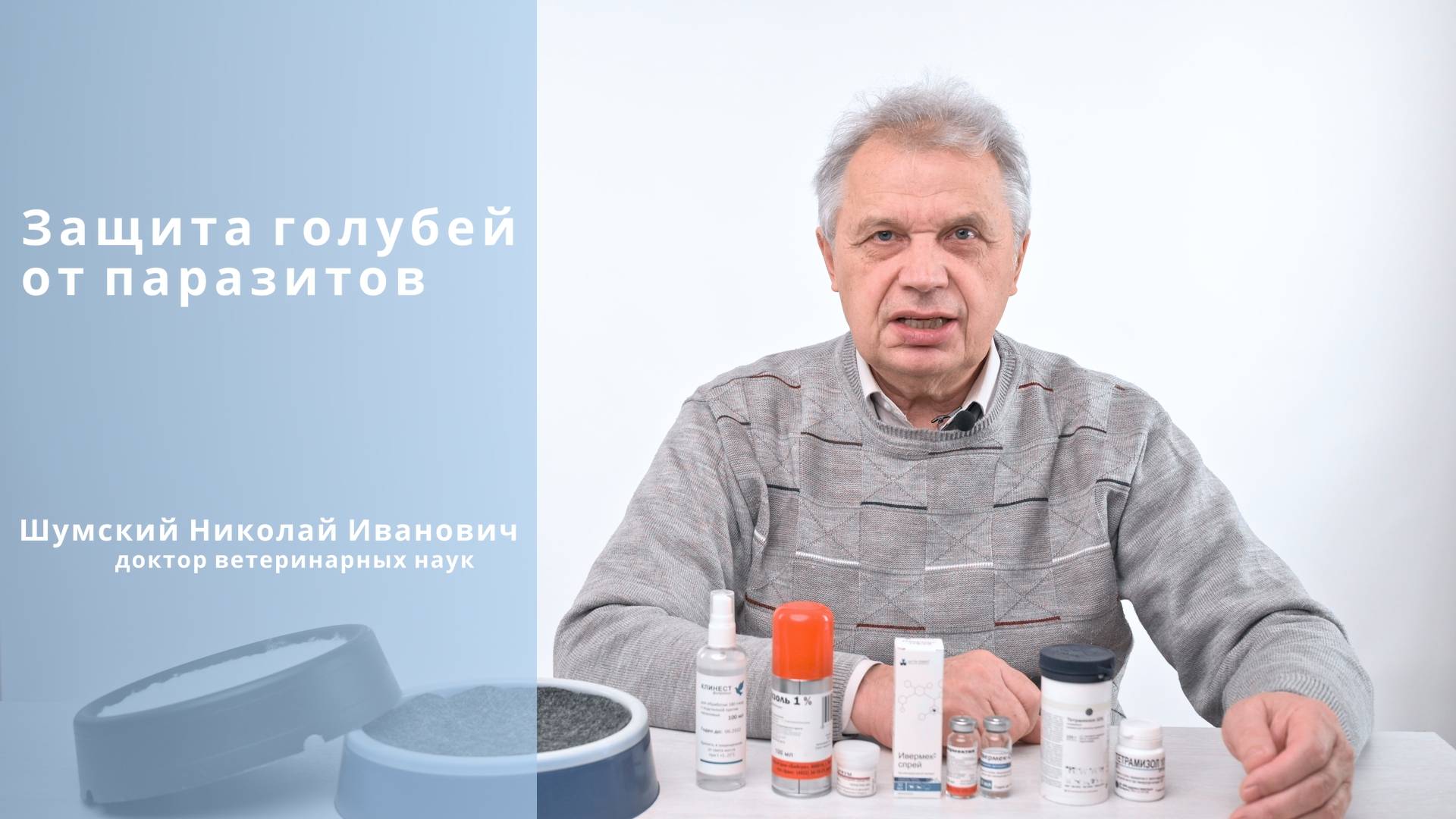 Защита голубей от паразитов