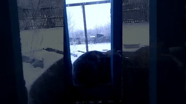 4b97c698494838919b452df390b75c6c