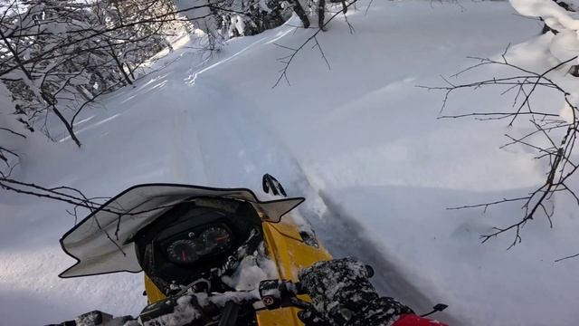 12.02.2025 г. часть 2