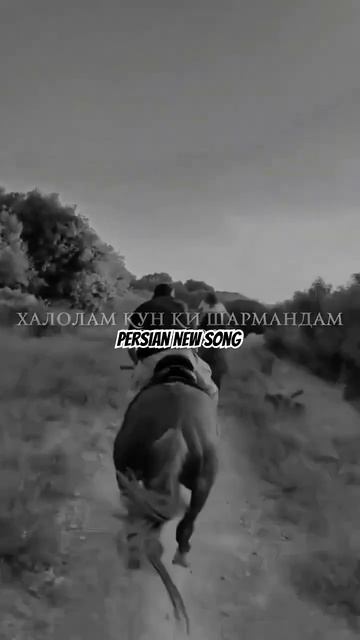 2af105a3e49a4f1dfd1470ca9f6bce7e