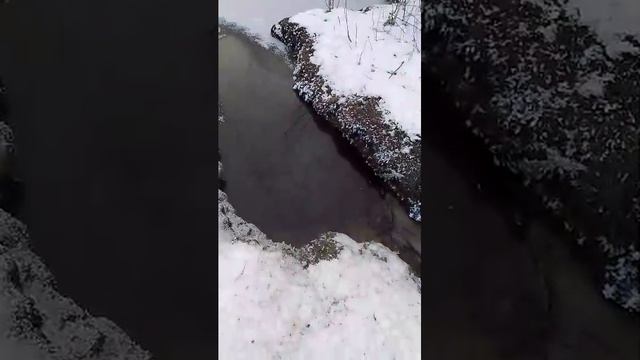 4797b66e1e409cb566d6fbdc6dbaf12b