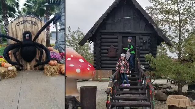 Bb98f885f1c6a197358de388771b4093