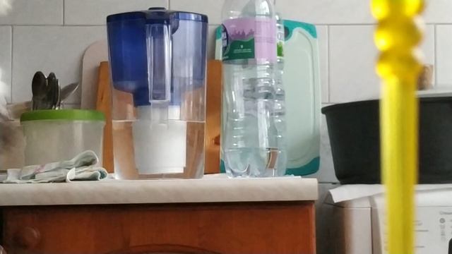 у басика выпал зуб